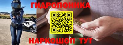 дмт Гусь-Хрустальный