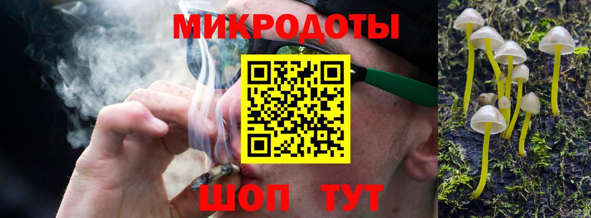 Псилоцибиновые грибы мицелий Мурино