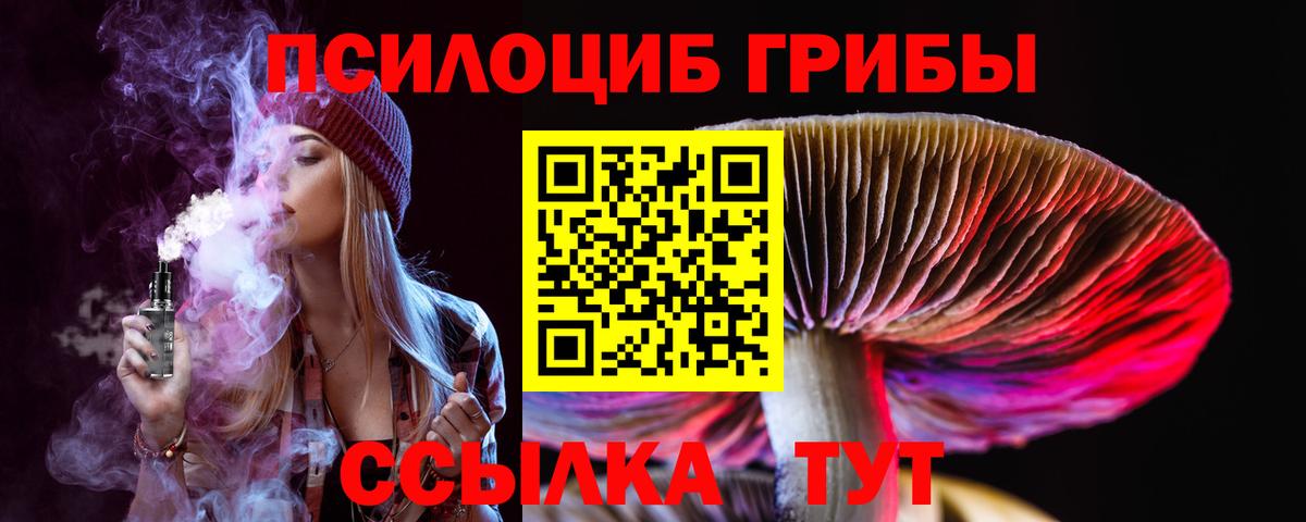Мурино  Псилоцибиновые грибы ЛСД  Вход с VPN 